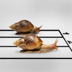 Windows 10 Build 9879 hit Slow Ring, ISO and BSOD fix also released