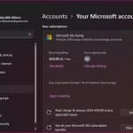 Microsoft Account settings in Windows 11