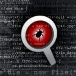 computer bug