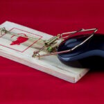Computer mouse in trap