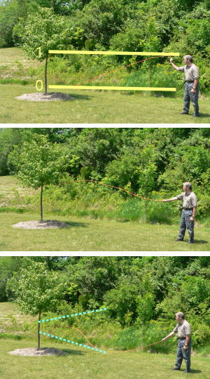A demonstration of <i>transmission line effect</i> using a transmitter (myself), a copper wire (Black & Decker), and a receiver (maple tree).
