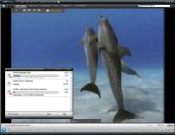 RealPlayer 11 Beta RealPlayer 11 Beta