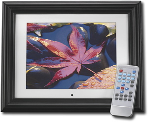 Best Buy's virus-infected frame