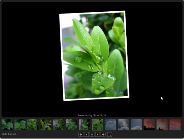 A Silverlight 1.0 demo from Microsoft runs on Ubuntu 8.10, Firefox 3, and Moonlight 1.0.