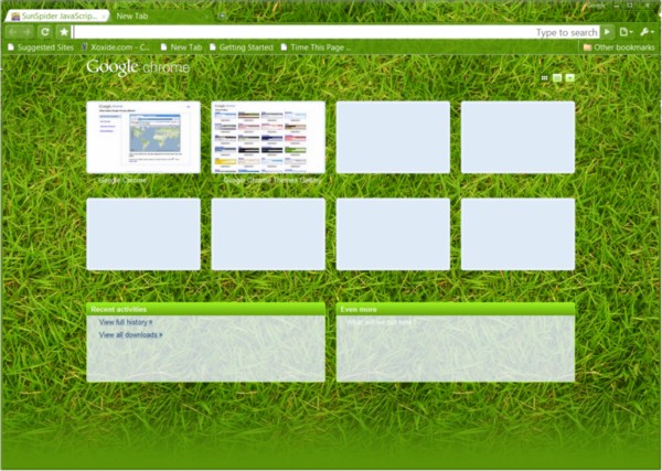 Google Chrome 3.0.196.2 showing off one of its new optional themes, 'Grass'