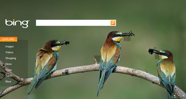 Bing Search Page