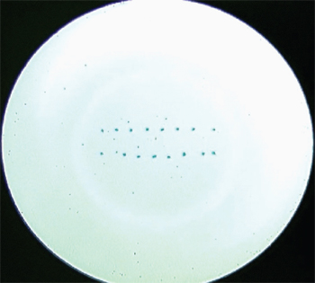 16  20pL droplets of blue ink in a 384 well