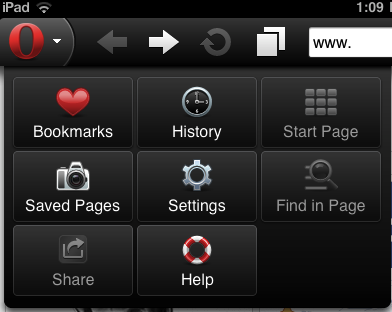 Opera Mini 6 for iPad options